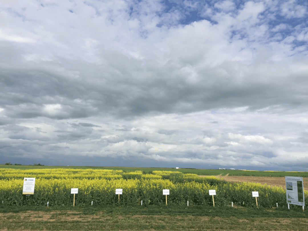 Wheatland Conservation Area 11